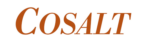 Cosalt Logo